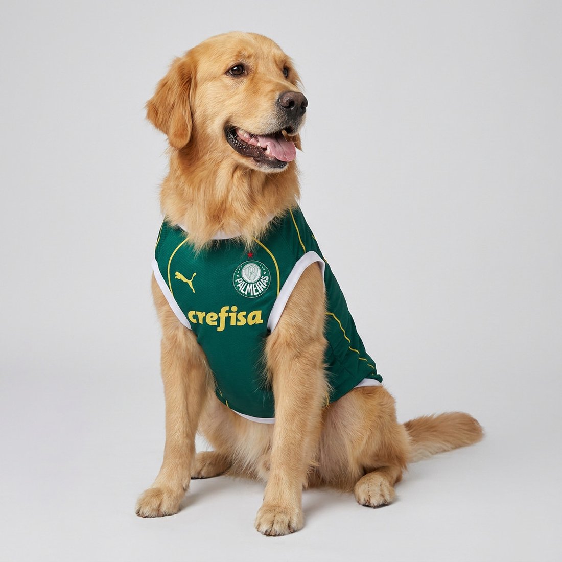 Cachorro vestindo a Linha Verdão Petwear — foto real do produto que já vende no varejo