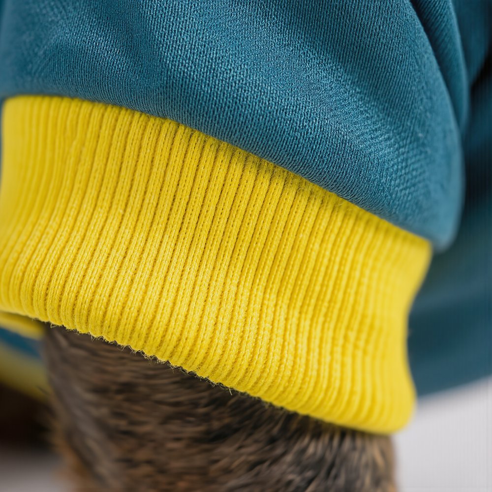 Detalhe do tecido real da roupa pet Petwear